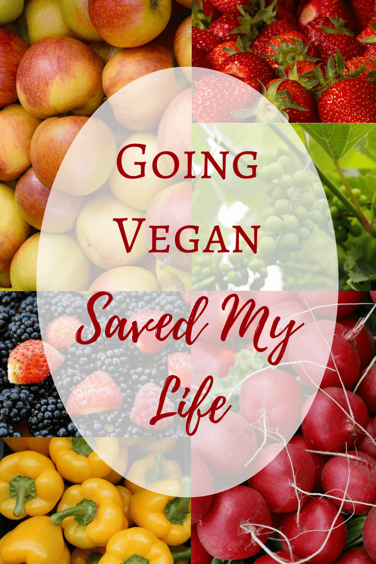 Going Vegan Saved My Life | The Wandeful Me
