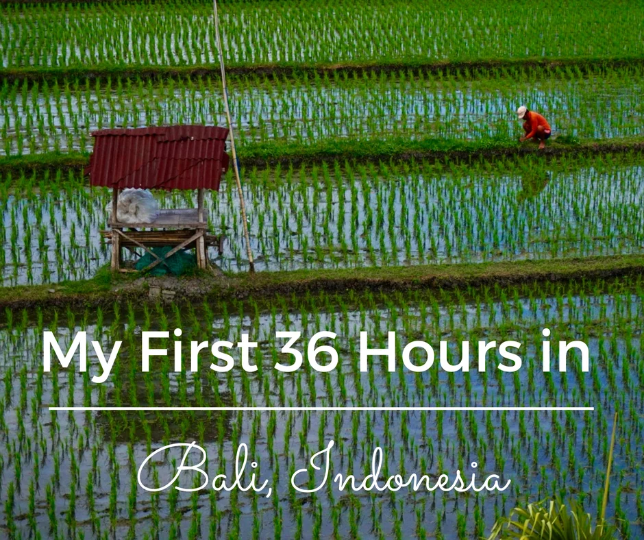 Arriving on the beautiful island of Bali for my first solo adventure was interesting, to say the least. Here's how my first 36 hours in Bali went.