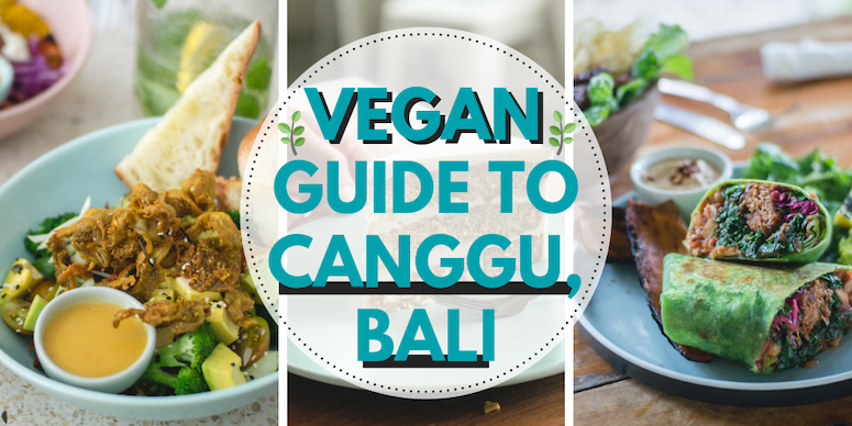 Here's the ultimate vegan guide to Canggu, Bali, Indonesia to have you drooling in no time.