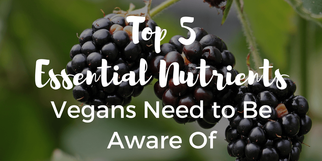 Top 5 Essential Nutrients Vegans Need to Be Aware Of | The Wanderful Me