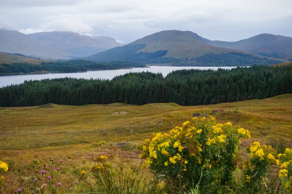 The Hills of Scotland • Discovering the Wild Side of Wild Camping in Scotland | The Wanderful Me