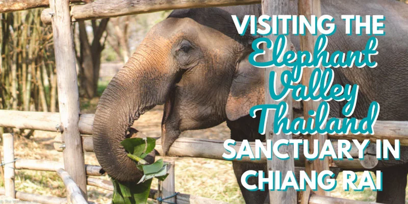 Visiting the Elephant Valley Thailand Sanctuary in Chiang Rai, Thailand